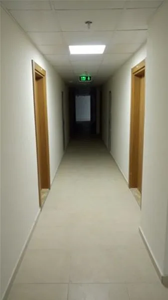 Görsel