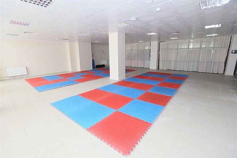 Spor Alanı