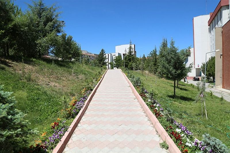 Bahçe Alanı